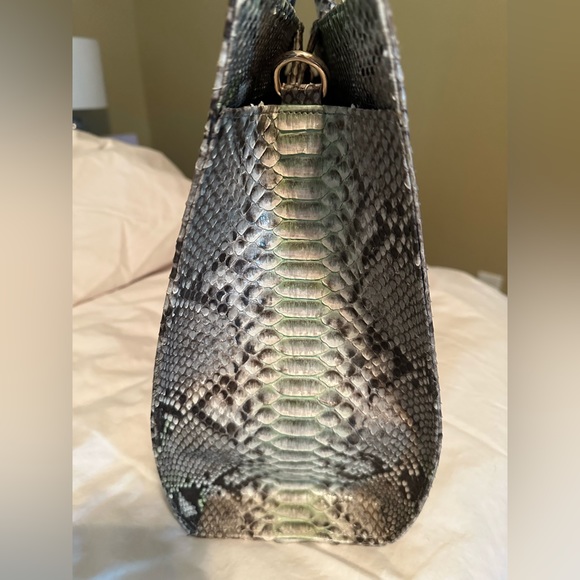 Shop Taxidermy REAL python bag 🐍 - Picture 4 of 12